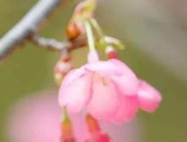  保存|建议你看完了也保存下，好多人花100万也买不来这张表！受益！