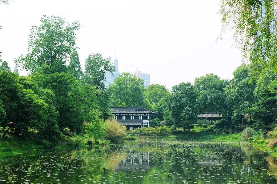 人约黄昏后#诗词丨给40首古诗加上配图,恍然大悟,惊为天人