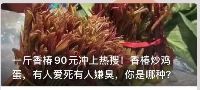 名字里带香，很多人却觉得臭！菜场摊主说越嫩越贵，饭店老板说老头炒蛋更香