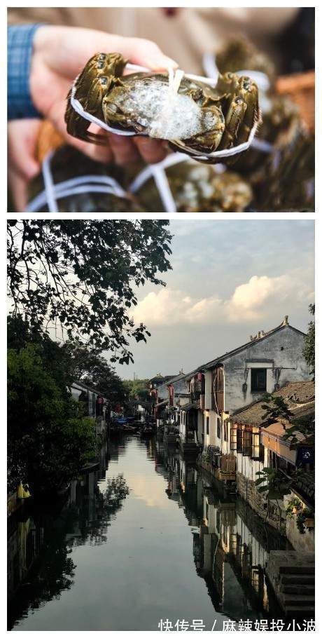 蟹庄|苏州旅游丨阳澄湖吃大闸蟹哪家好