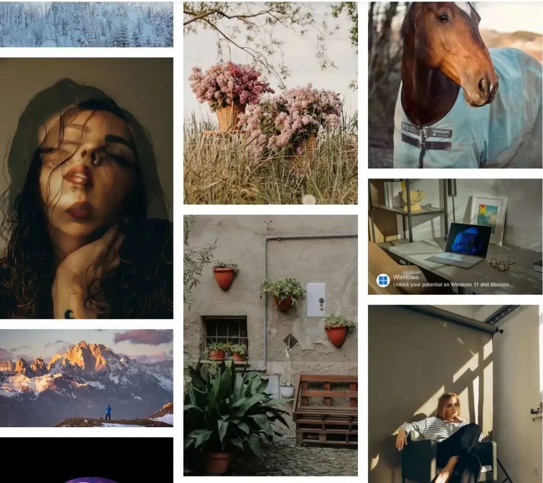 公开几个压箱底的宝藏网站Unsplash/影视森林/奇妙搜索/直播源分享项目-HEU8