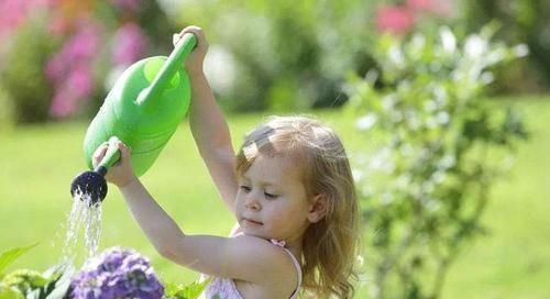 家长|清华校长建议:家长在这三个方面越“放手不管”,孩子未来越成功