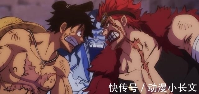 陨落|海贼王:和之国篇章结束之后有4人可能陨落,罗的牺牲情理之中