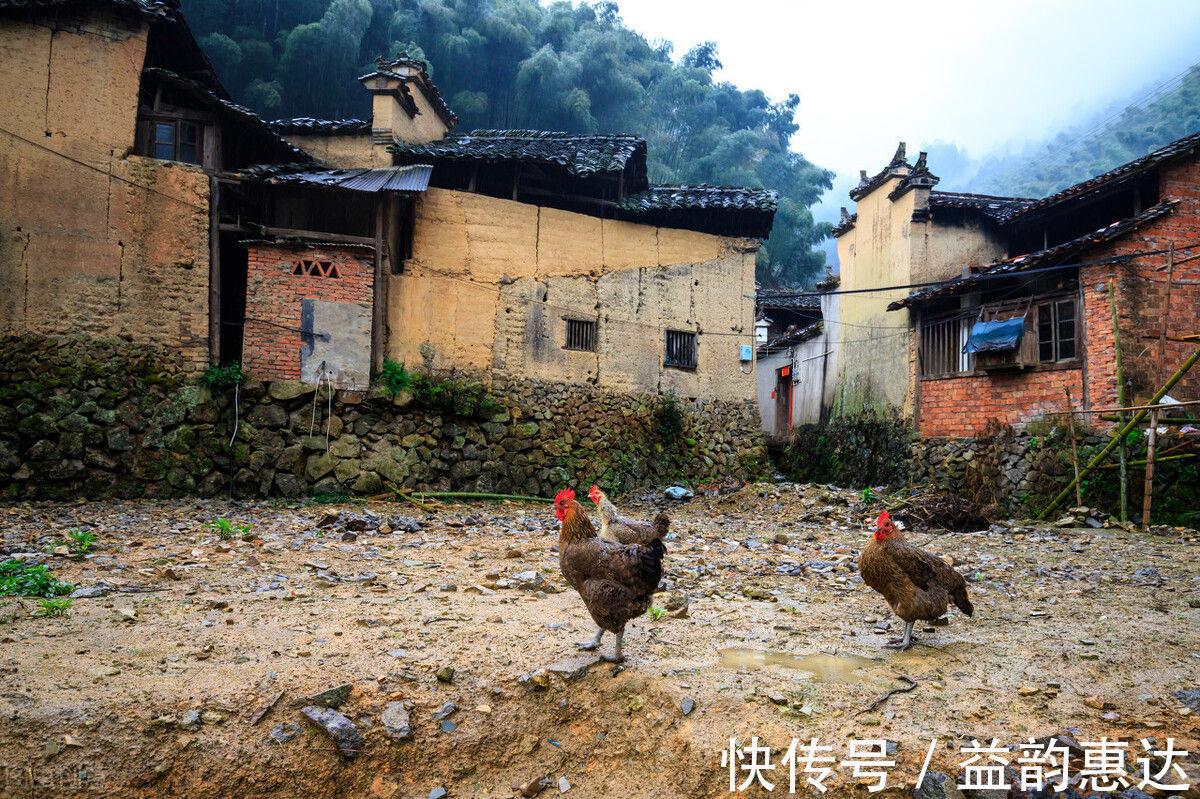 自然资源部|“想起就值得开心的事”农村宅基地不可继承,但房屋继承要求不限