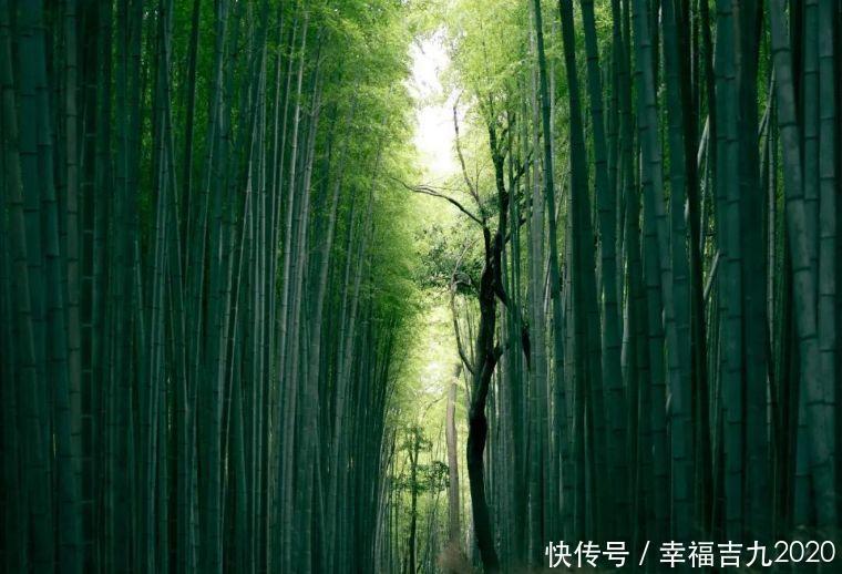 一位南宋文坛巨匠的素食观：这是一种养生妙法