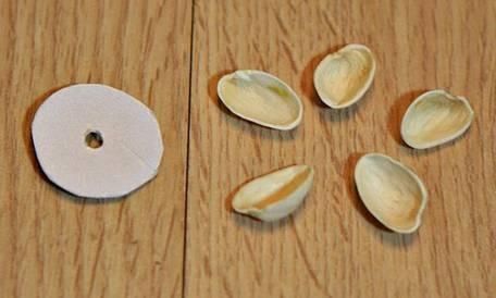 保证|吃完的坚果不能丢,坚果壳变身记,保证创意一箩筐