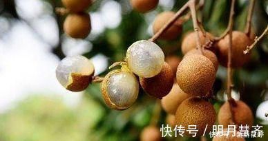 胆固醇|人到中年想长寿,3种食物换着吃,降低胆固醇,平肝降压,更健康