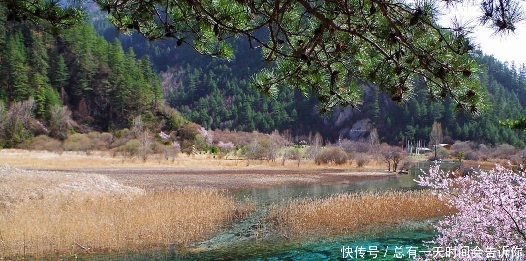 苏轼#苏轼一名句比喻精妙,辛弃疾不服,写出意思相反之句,亦流传千古