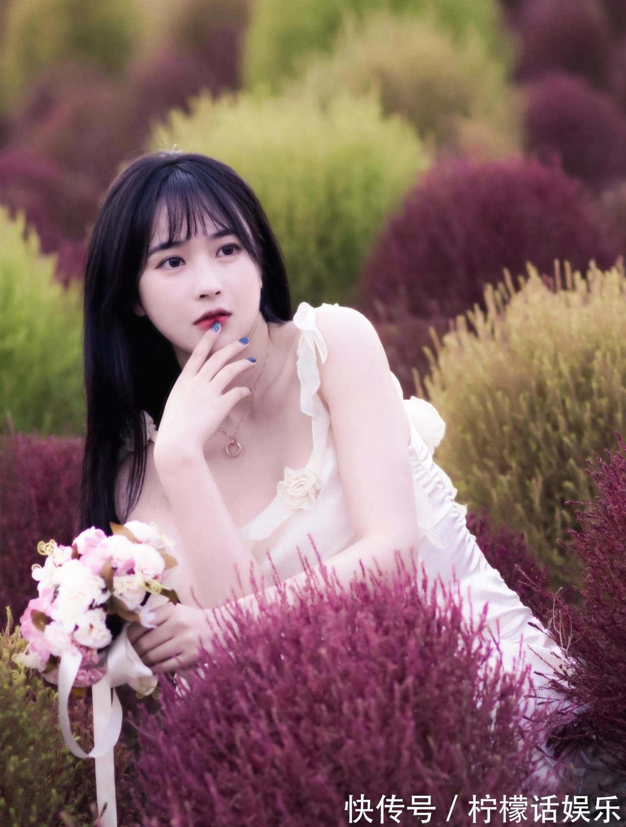 诗心$诗·十二首丨人近丛林惊鹊鸟,菊斟满盏煮诗心