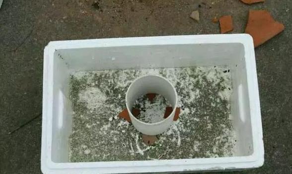 养花神器泡沫箱这般制成自动浇水箱、堆肥箱,省劲、实用!