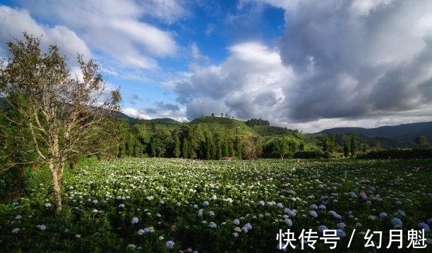 回暖|7天后，历经风雨，痴心不变，旧情回暖，不负遇见，牵手再续前缘