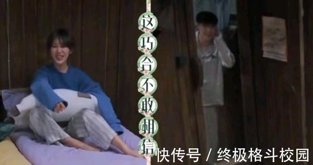 杨紫|张艺兴杨紫《向往》在线辟谣,不料网友磕到了