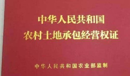 李刚|土地确权后，这6种宅基地不再属于自己，别不小心弄丢了！