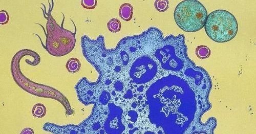 癌症|癌症自愈情况的出现，或许与4个方面也相关，不妨了解下