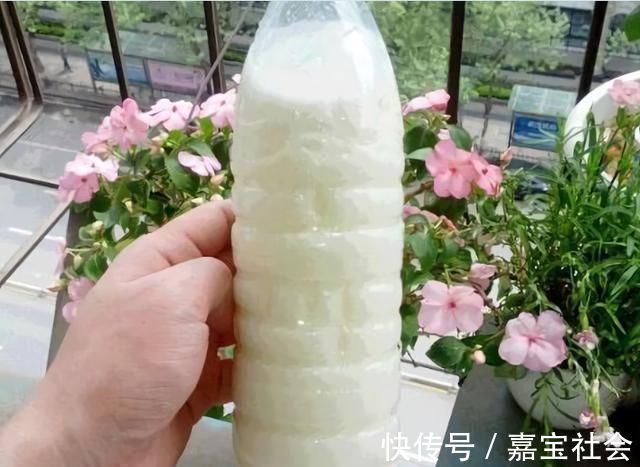 施肥|2种“废水”家家有,处理之后来浇花,根粗叶绿,半年不用施肥