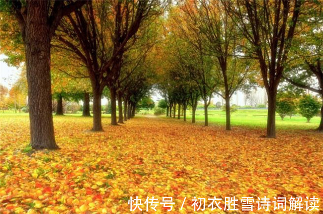 叶落!明丽落叶诗六首,叶落归根,秋到任他林落叶,春来从你树开花