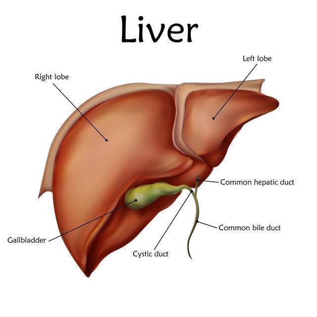 饮食清淡|饮食再清淡,方法不对血脂也会高,3招教你“吃”掉血脂