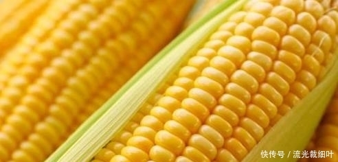  不妨|餐桌上的前列腺炎“特效药”，男人不妨多吃些，炎症或会自动消失