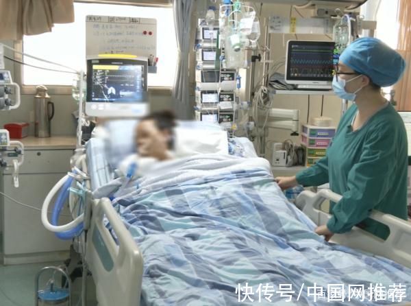 小吴|撸猫住进ICU:广东一女子患恙虫病呼吸衰竭