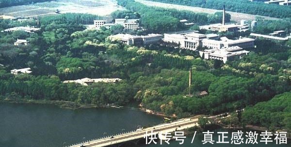 城市绿化率|老照片80年代的吉林长春，看那时的“北国春城”！