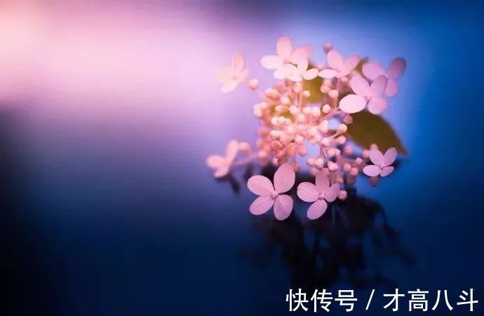 寄内!十位诗人写给妻子的诗,有怀念,有情话,有惋惜!