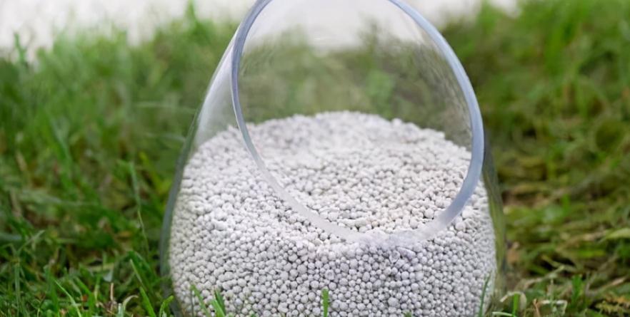 邻居小妹养多肉,少有烂根虫害问题发生,全赖这些地方把控严密