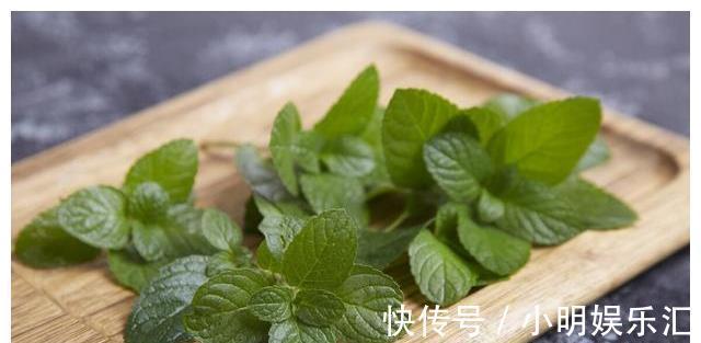 采摘|长在路边的20种杂草可以当作野菜食用，你认识几种？