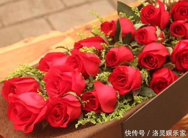 红艳|喜欢菊花,不如养盆“玫瑰精品”卡罗拉,红艳似火,太惊艳了!