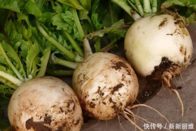 膳食纤维|女人不想大肚子,多吃4种“零嘴”,减脂瘦身,效果比“跑步”好