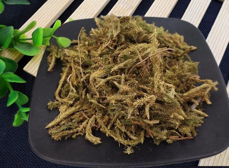 中药|千年一味“伸筋草”！拉筋舒筋，去寒气湿气，福泽众生，深藏功名