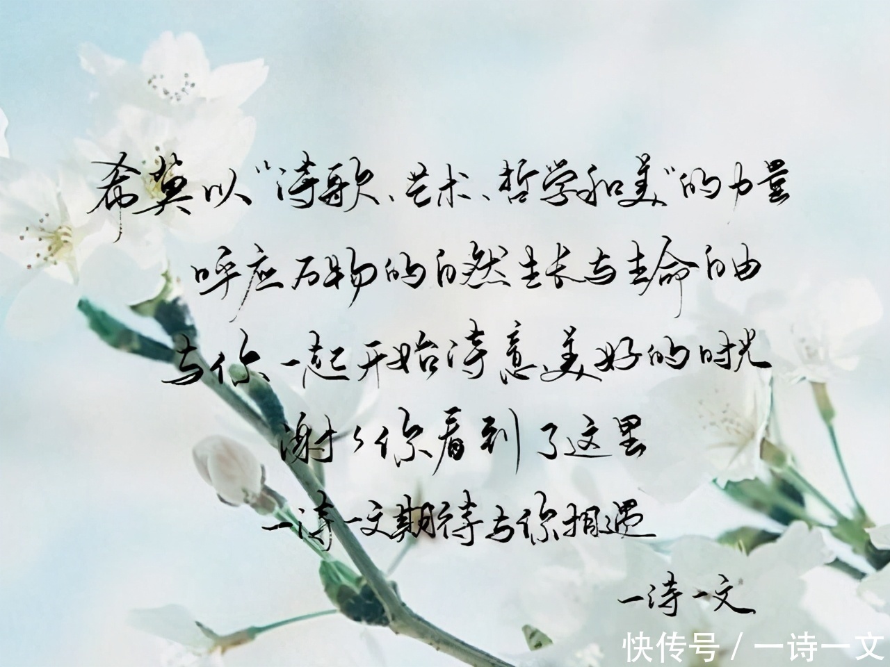 眼处|山川历遍,不及你眉眼,抬眼处四方寂静,如冬雪消融,刹那心动