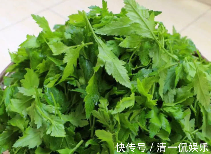 三不像|农村一种“怪味”野菜,形似香菜但味道似薄荷,你们吃过吗
