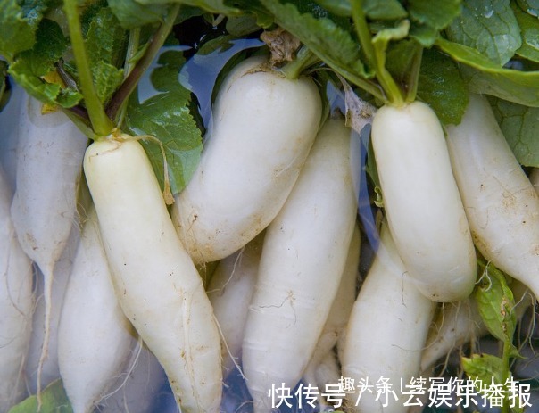 蜂蜜|白萝卜搭配此物一起煮,咳嗽不见了,不感冒了,全家老少都能吃