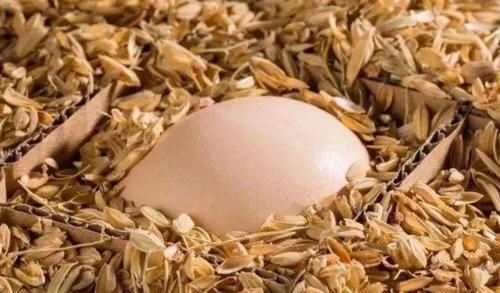 鸡蛋别再放冰箱了,农村大妈教你一招,效果非常好,半年都不坏