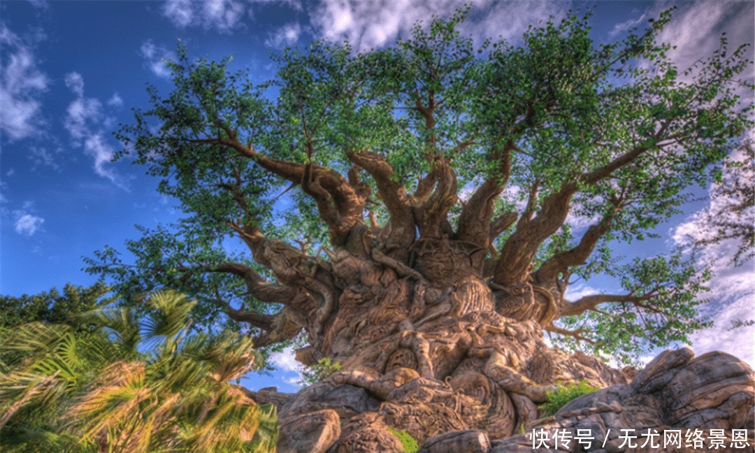 棵参天大树|《山海经》中刑天无头如何存活?刑天:只要有水,我就能活