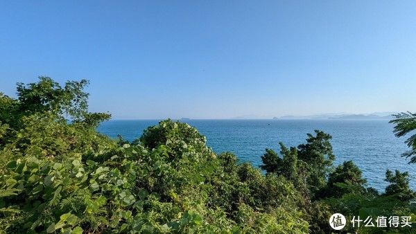 水桶机|Google的水桶机——Pixel6上手