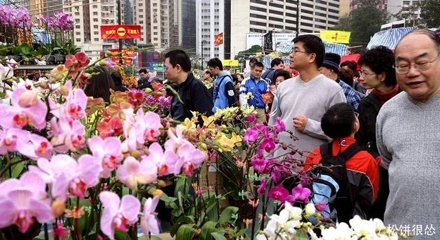 盆栽、园艺用品从网上买,还是店里买?听我来说说,保证您有收获