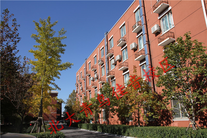 电脑知识|北大青鸟:零基础学电脑从哪里入手