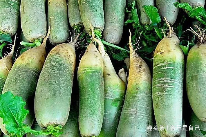 芹菜|女性不想早衰，坚持吃4种食物，改善肠胃，护肤美容，补充维生素