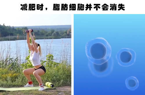 蹄兔|即便真正的学霸也未必知晓的9个有趣的冷知识