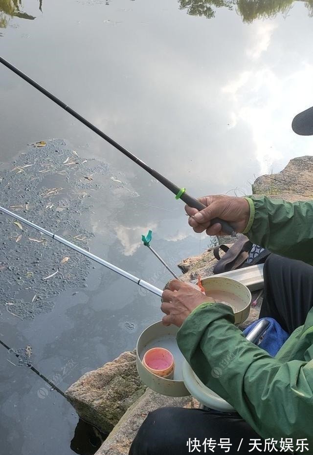 向高龄钓友请教的“摇三摇”钓法,毫无保留的分享给大家