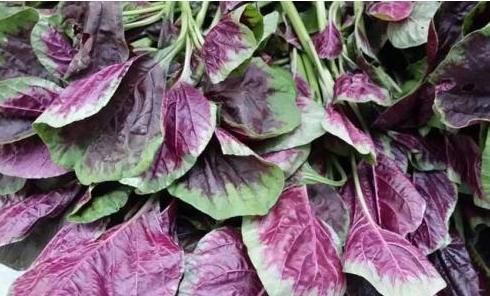 排毒养颜|人到中年想长寿，处暑节气要经常吃三种食物，美容养生，有益健康