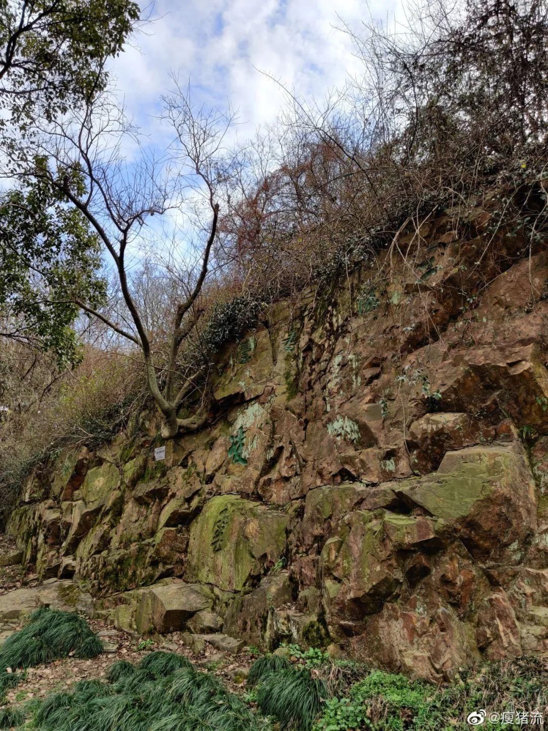 老年|留松过大年丨松江这些红红火火的地方，你去打卡了吗？