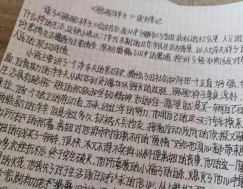 大学生“藤蔓字体”走红，字迹洒脱犹如天书，老师看后想给0分