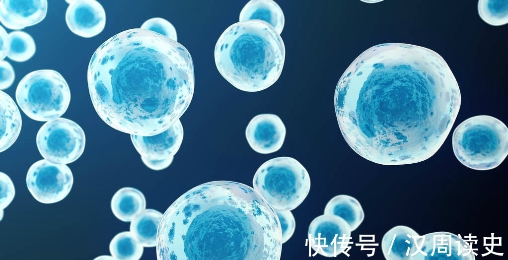 肿瘤科|癌症一发现就是晚期,肿瘤科医生提醒,五个部位最好每年体检一次