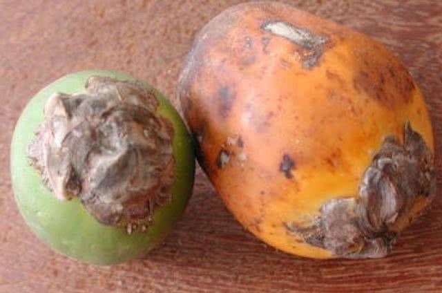 青枣|孩子最该少碰的4种水果,特别是最后三种,大人也要管住嘴