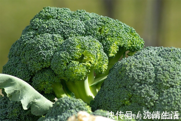 豆浆|养肝“黄金时间”在早上，晨起吃这5种食物，肝会“感激”你