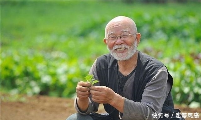 长寿老人的秘诀:饭后半小时才是“养生黄金期”!