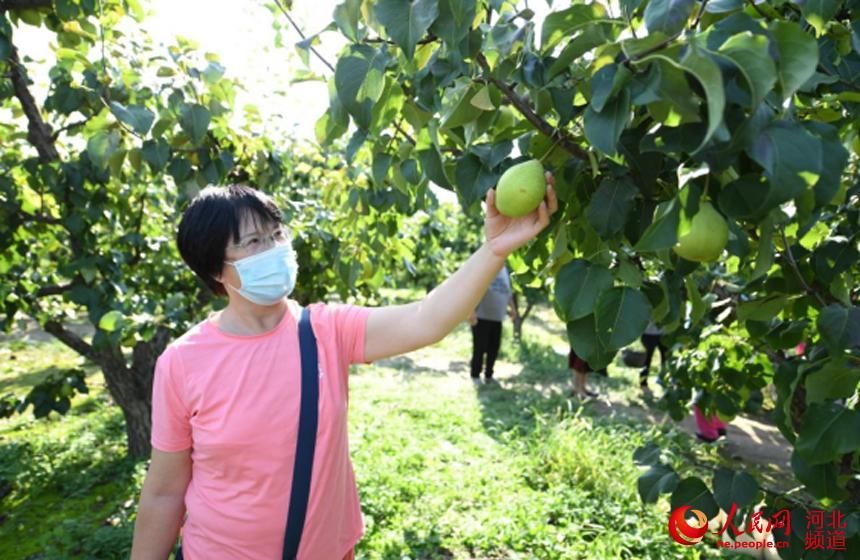 乡村|河北永清：乡村旅游助力乡村振兴