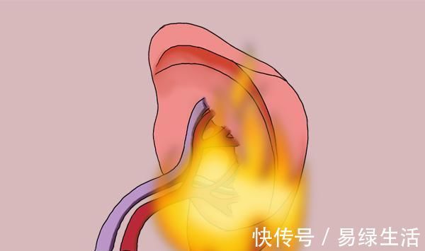 栗子|一切大病从脾衰开始，脾的“恩人”被找到了，带着吃，养好脾